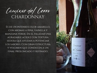 delcerro-chardonnay